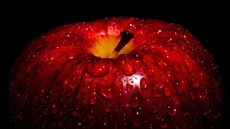 Pomme, ananas, champignon : des alternatives durables au cuir animal.