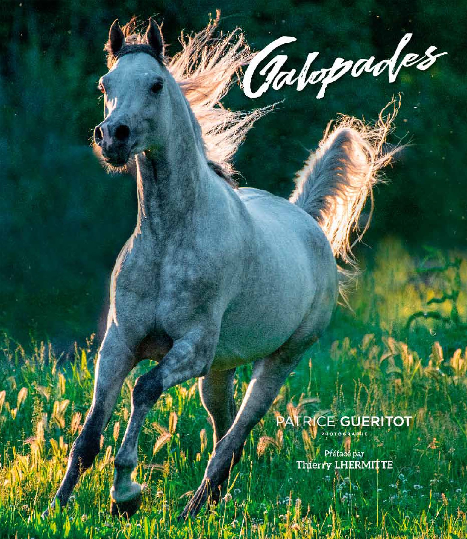 galopades livre cheval patrice gueritot thierry lhermite